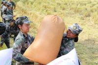 面对青春期孩子早恋父母应该如何引导?