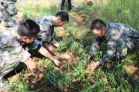 面对孩子早恋该如何引导教育