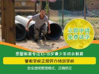 11岁男孩子叛逆期怎么管教最合适