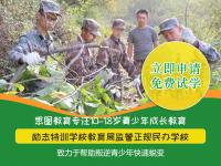 初中厌学不学习的孩子怎么办